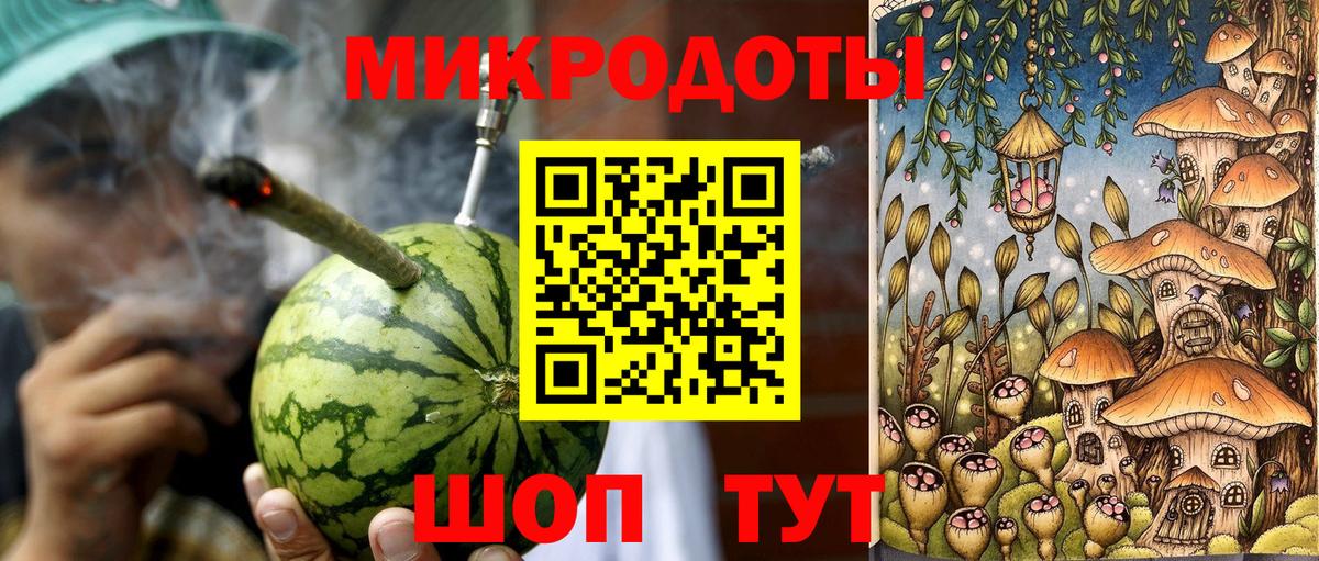 Псилоцибиновые грибы Psilocybe Рузаевка